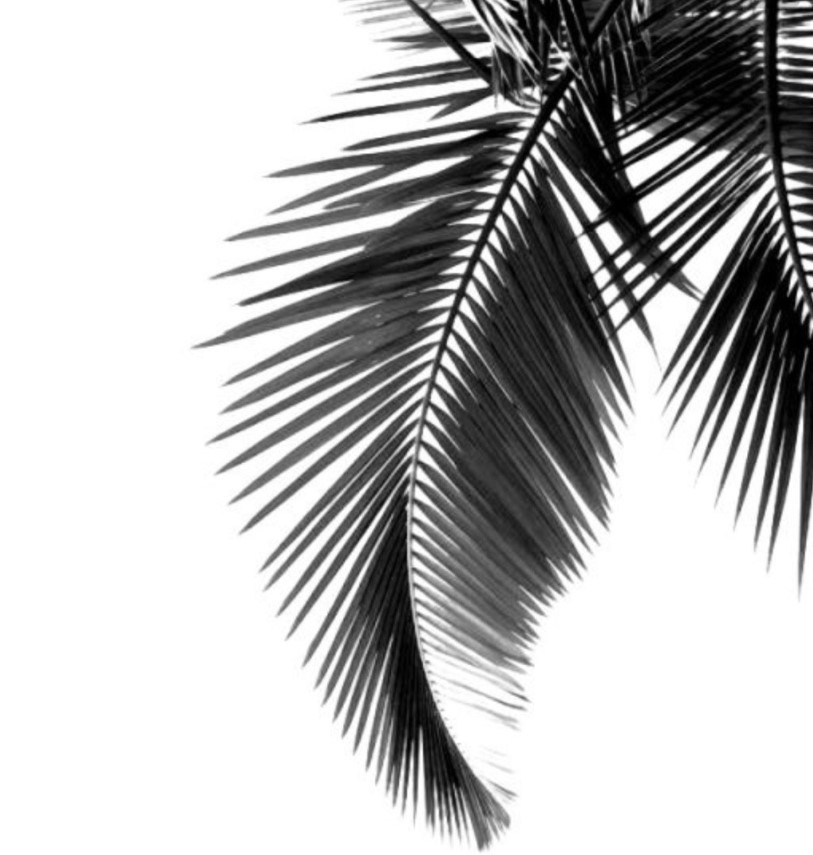 Yukoholistic beauty services in Brighton and Hove