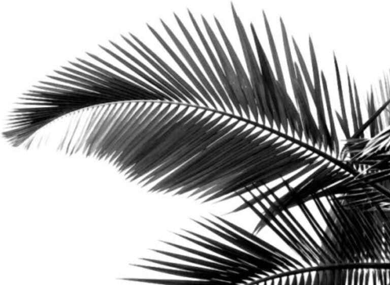 Yukoholistic beauty services in Brighton and Hove