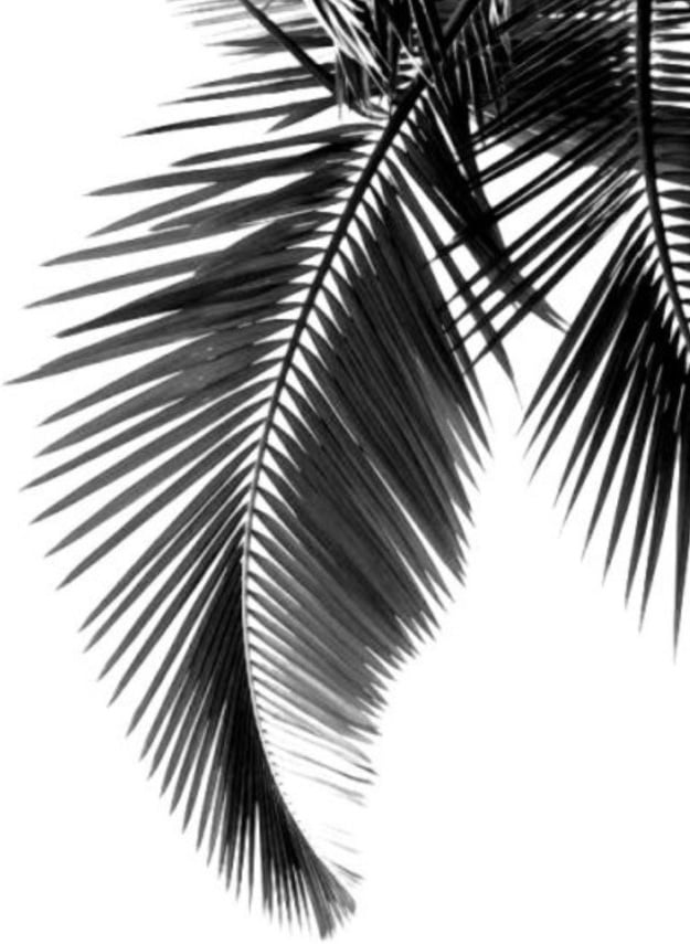 Yukoholistic beauty services in Brighton and Hove