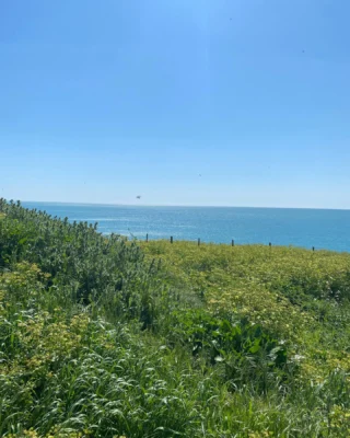 Amazing view from my favourite walk.  #southdowns #clif #brighton #walkwalkwalk #walkingmeditation #mayflowers #greenenergy